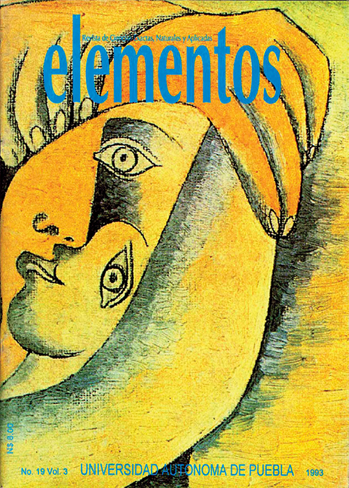 Portada Elementos 19