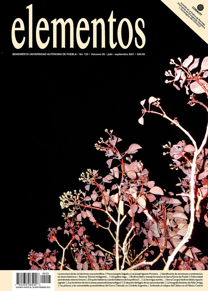 Portada Elementos 123