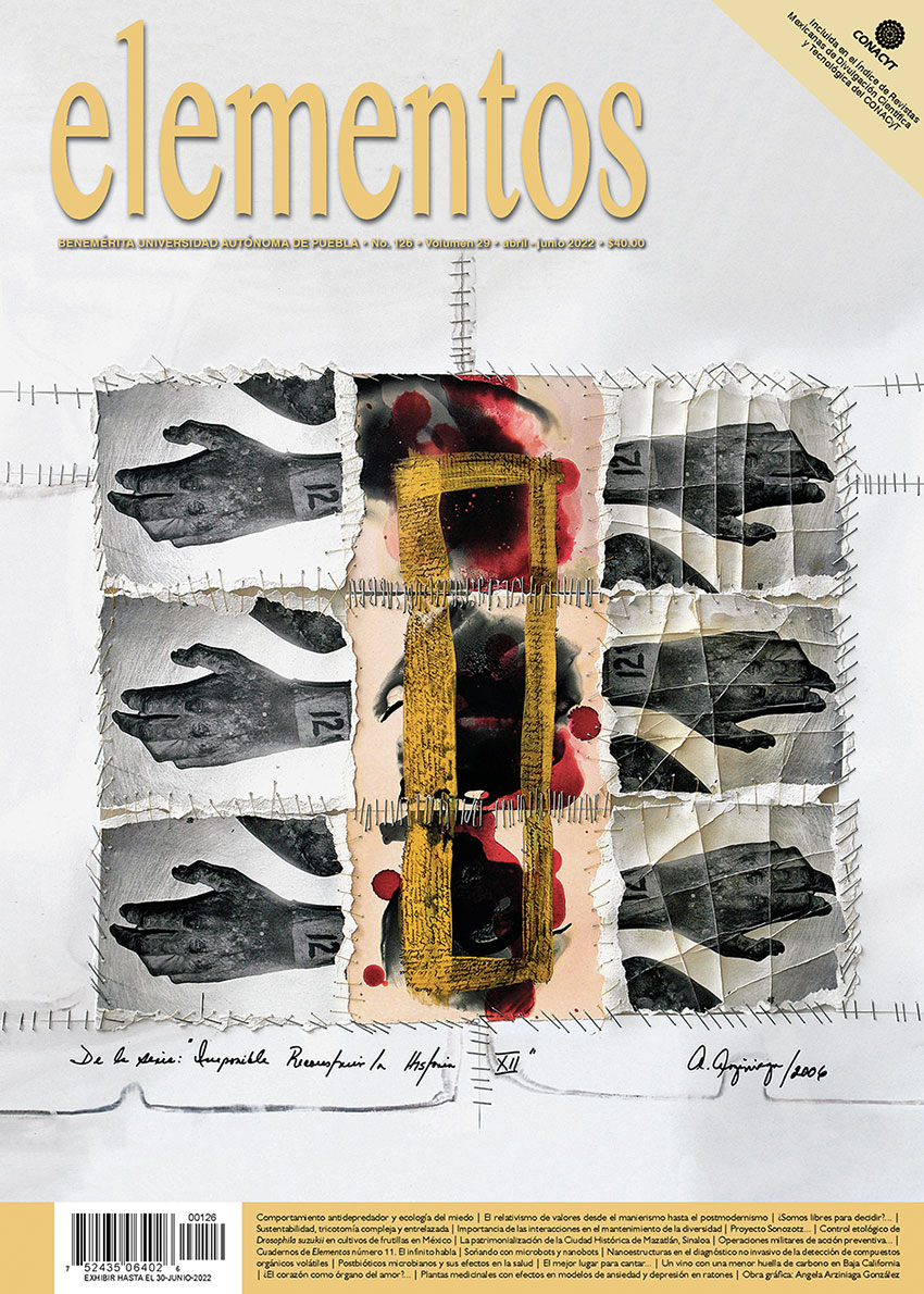 Portada Elementos 126