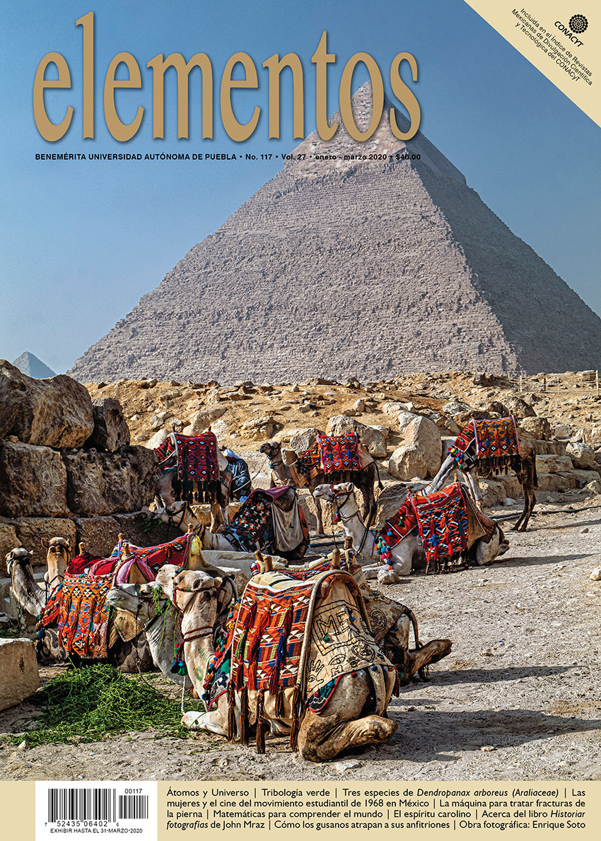 Portada Elementos 117