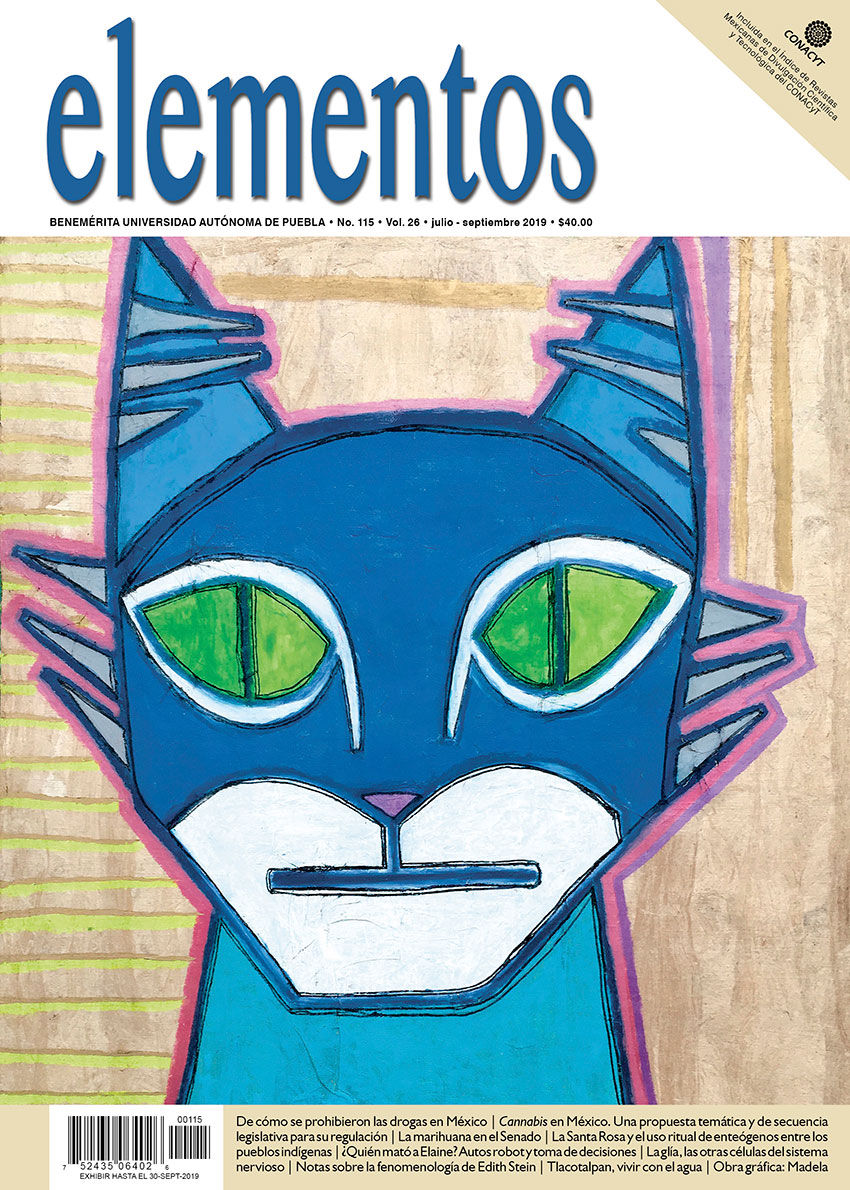 Portada Elementos 115