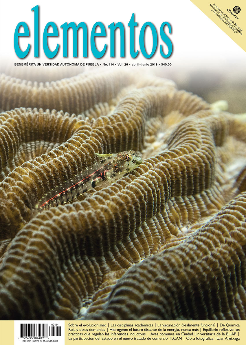 Portada Elementos 114