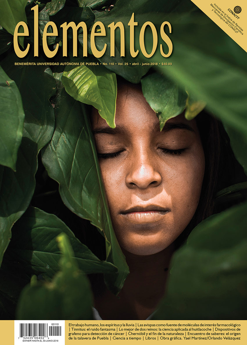 Portada Elementos 110