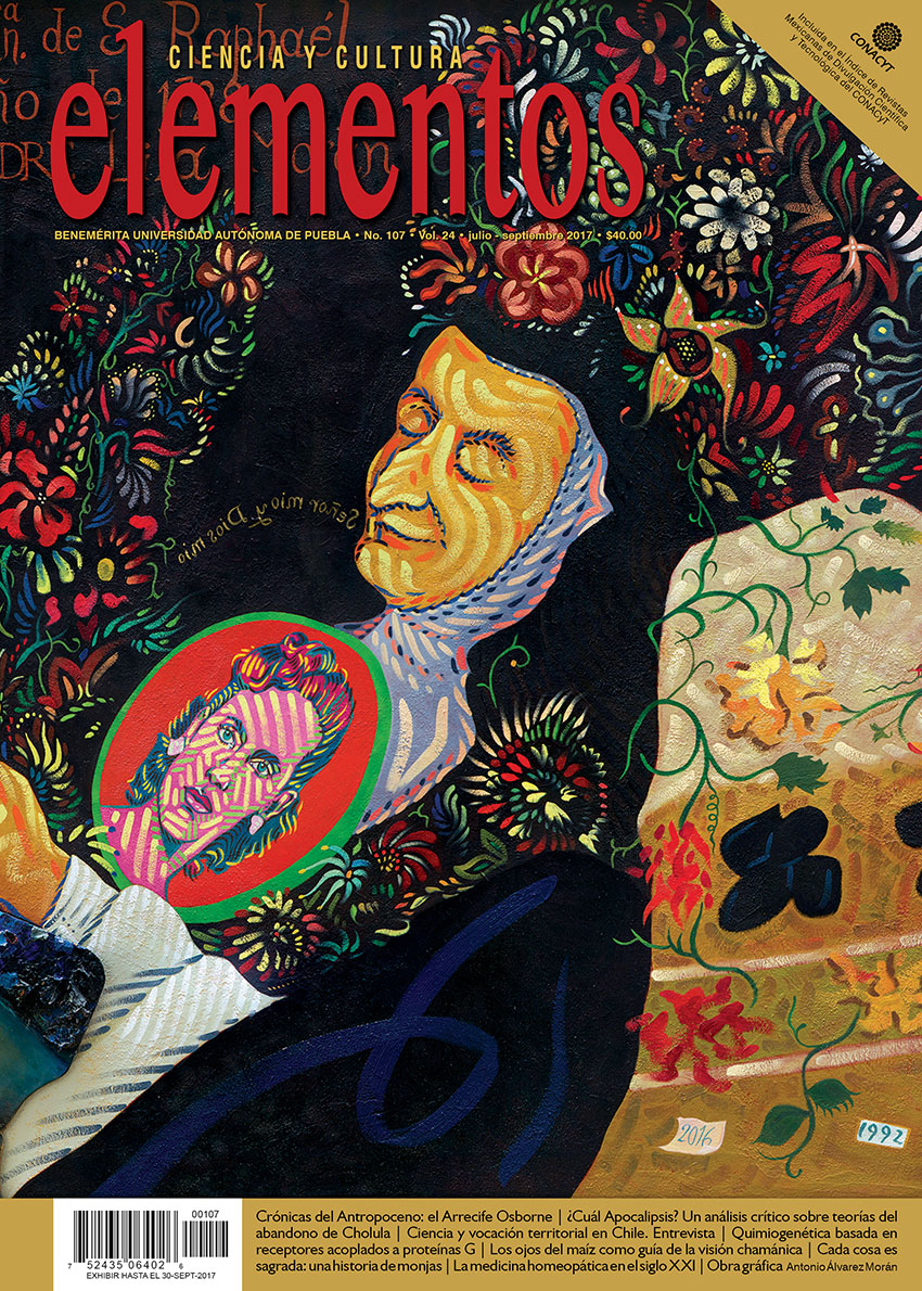 Portada Elementos 107