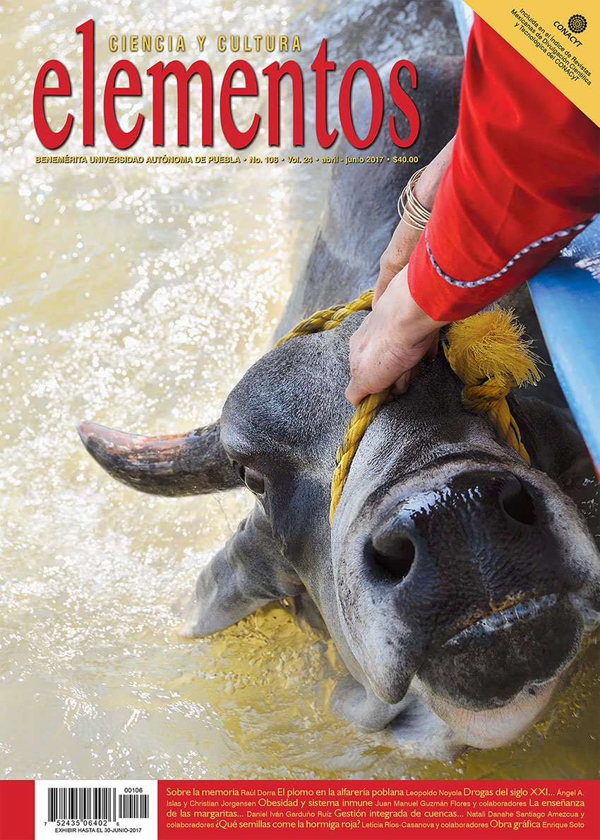 Portada Elementos 106