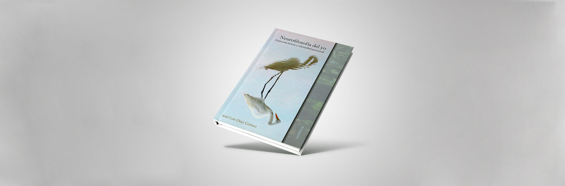 Portada del artículo